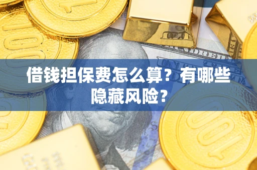 武汉借钱担保费怎么算？有哪些隐藏风险？