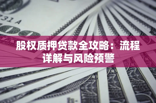 武汉股权质押贷款全攻略：流程详解与风险预警