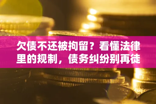 武汉欠债不还被拘留？看懂法律里的规制，债务纠纷别再徒劳奔波