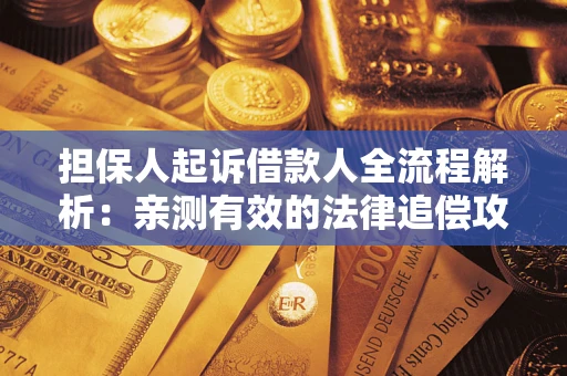 武汉担保人起诉借款人全流程解析：亲测有效的法律追偿攻略