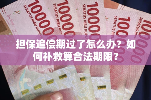 武汉担保追偿期过了怎么办？如何补救算合法期限？