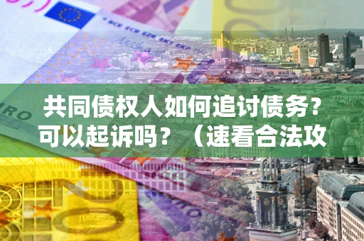 武汉共同债权人如何追讨债务？可以起诉吗？（速看合法攻略）
