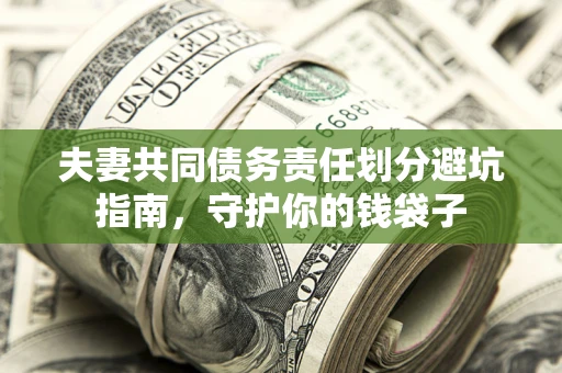 武汉夫妻共同债务责任划分避坑指南，守护你的钱袋子