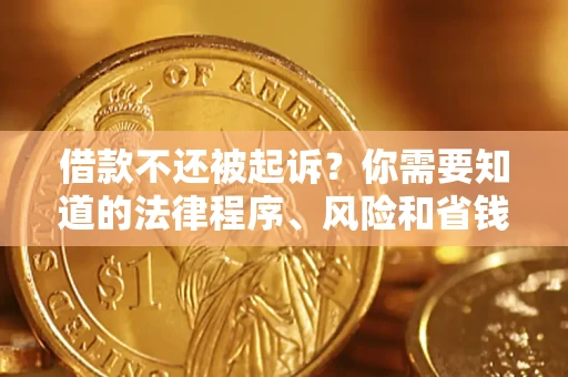 武汉借款不还被起诉？你需要知道的法律程序、风险和省钱技巧